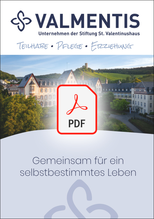 Valmentis Broschüre herunterladen